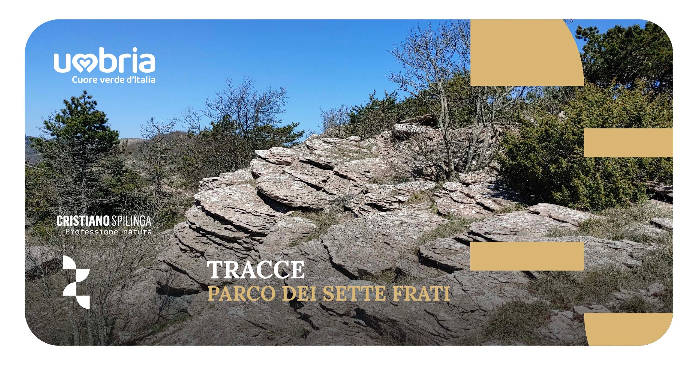 TRACCE