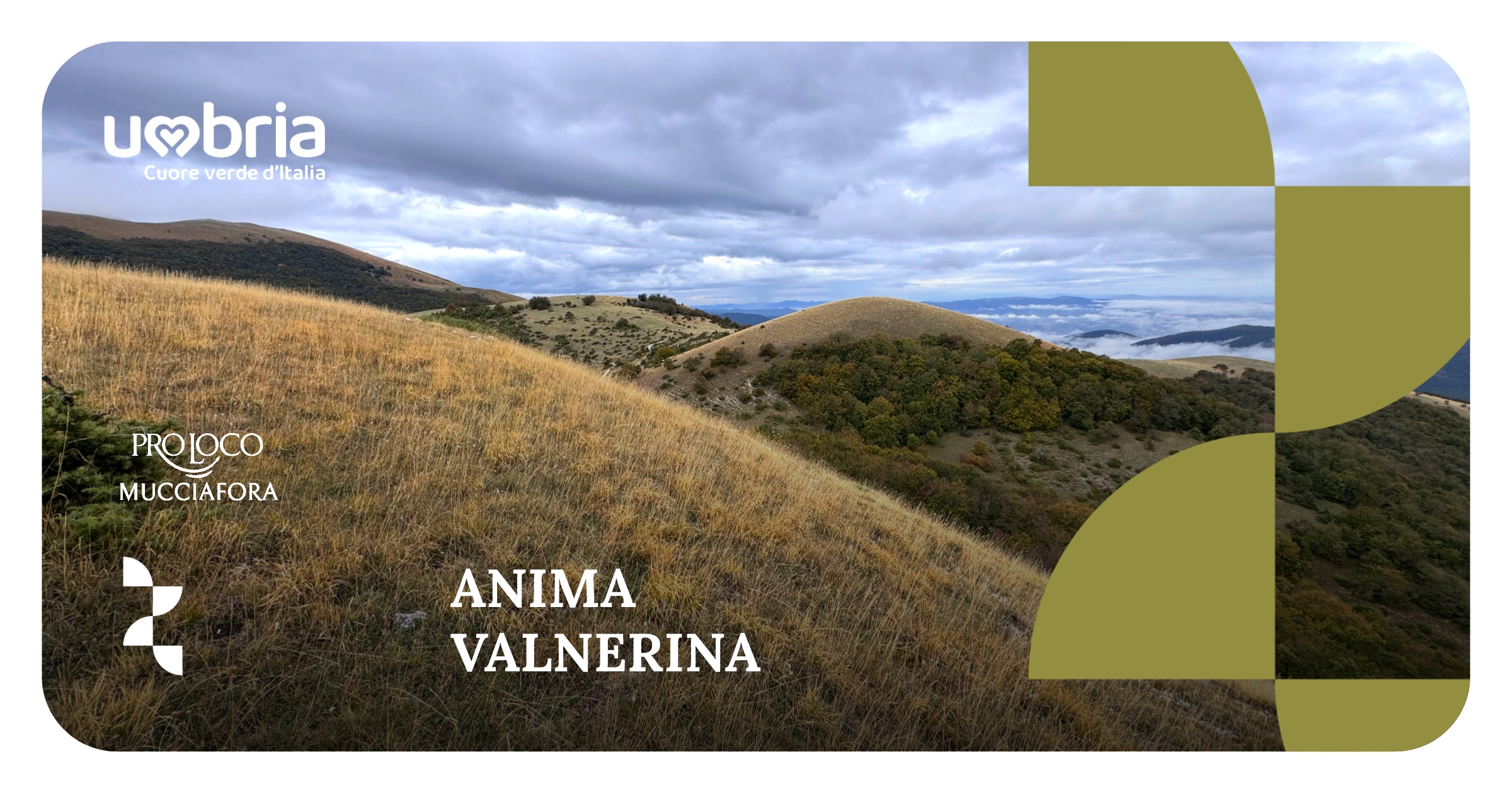 ANIMA VALNERINA
