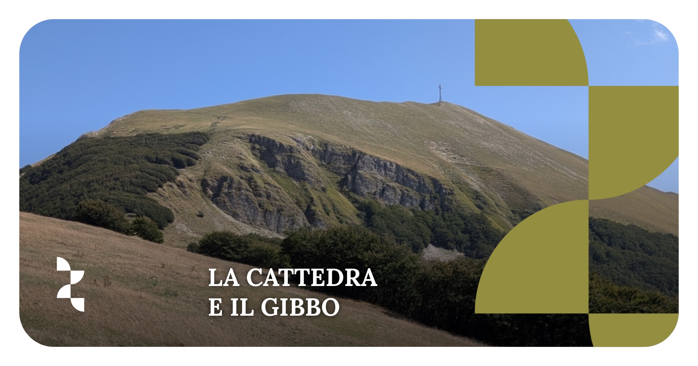 LA CATTEDRA E IL GIBBO